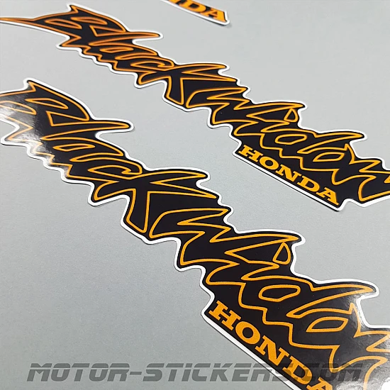 Honda VT 750DC Black Widow 2001-2002