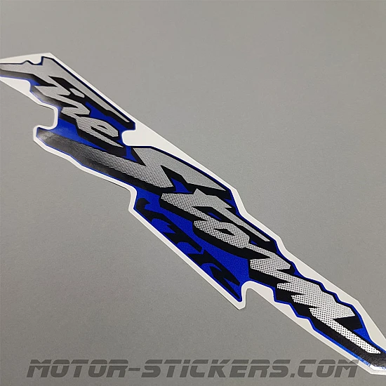 Honda VTR 1000F FireStorm 2002