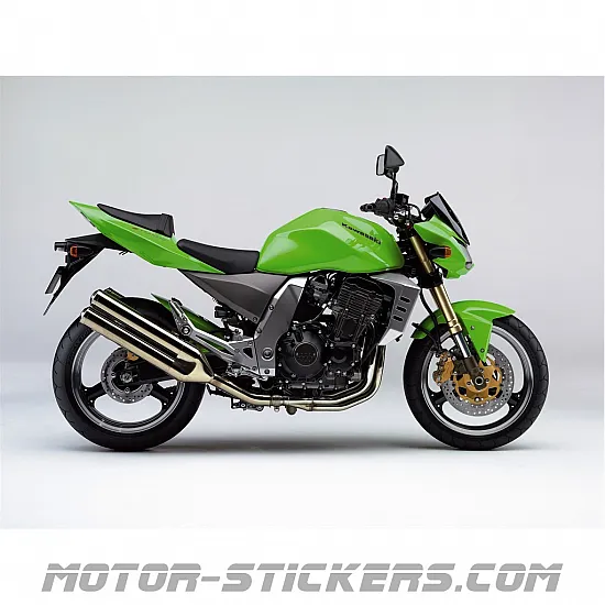 Kawasaki Z1000 2005