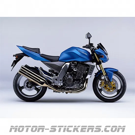 Kawasaki Z1000 2006
