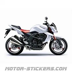 Kawasaki Z1000 2008