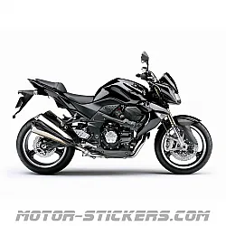 Kawasaki Z1000 2009