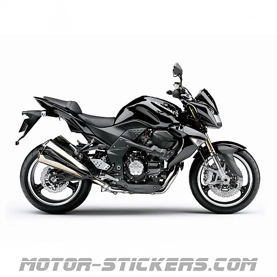 Kawasaki Z1000 2009