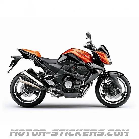 Kawasaki Z1000 2009