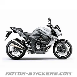 Kawasaki Z1000 2009