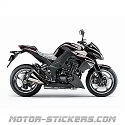 Kawasaki Z1000 2010
