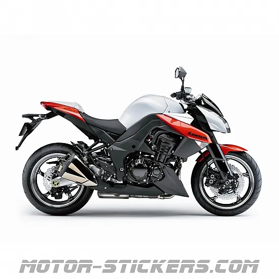 Kawasaki Z1000 2010