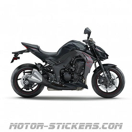 Kawasaki Z1000 2019