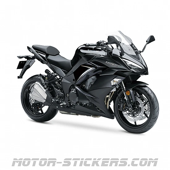 Kawasaki Z1000 SX 2019