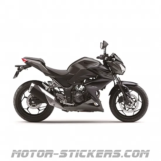 Kawasaki Z300 2015