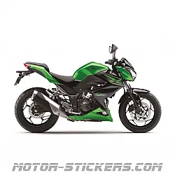 Kawasaki Z300 2015