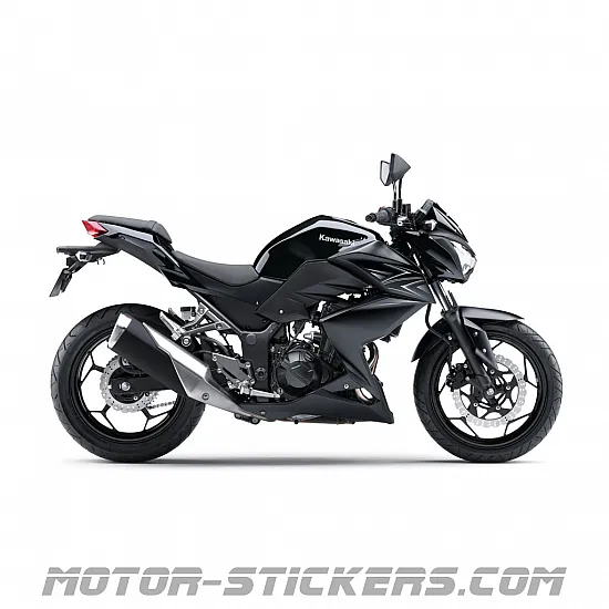 Kawasaki Z300 2016