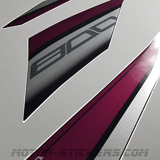 Kawasaki Z800 Sugomi Edition  2016