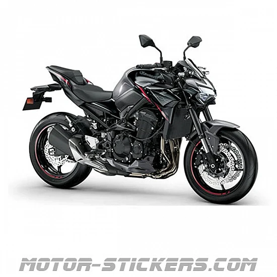 Kawasaki Z900 2023