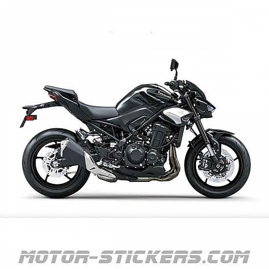 Kawasaki Z900 2025