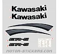 Kawasaki ER-5 2003-2004