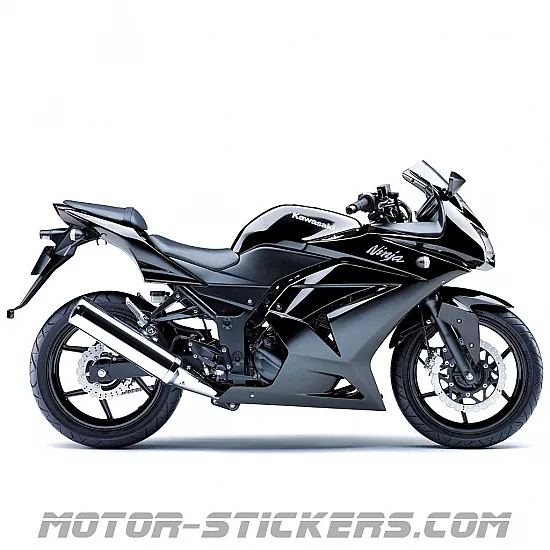Kawasaki Ninja 250R 2008