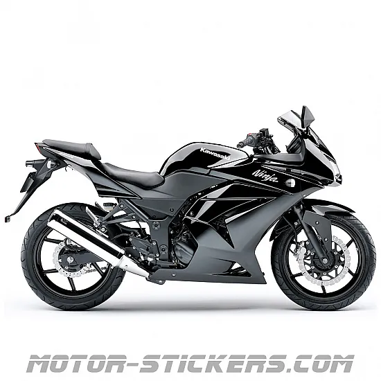 Kawasaki Ninja 250R 2009
