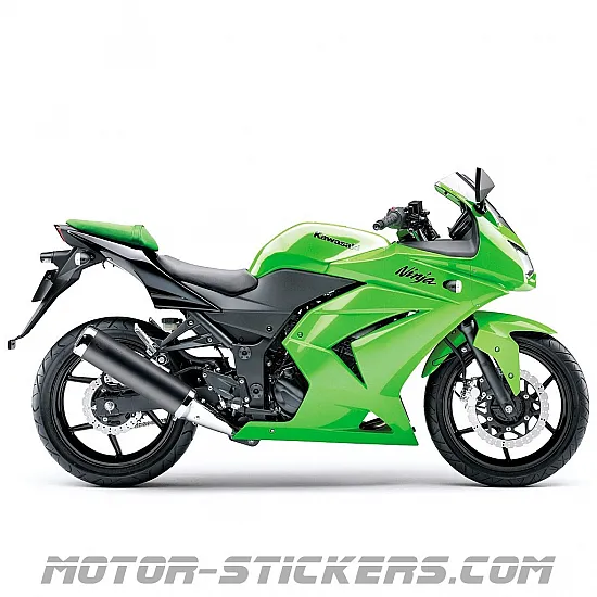 Kawasaki Ninja 250R 2010