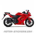 Kawasaki Ninja 250R 2010