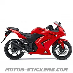 Kawasaki Ninja 250R 2010