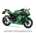 Kawasaki Ninja 300 2013