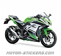Kawasaki Ninja 300 2015