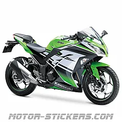 Kawasaki Ninja 300 2015