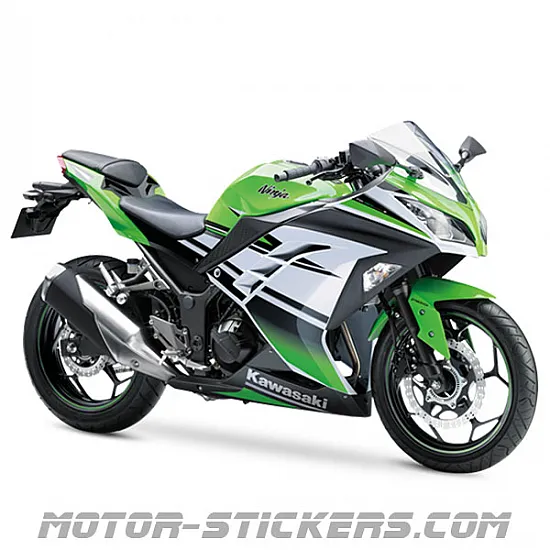 Kawasaki Ninja 300 2015