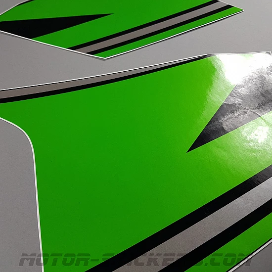 Kawasaki Ninja 300 2016-2017