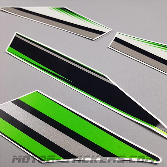 Kawasaki Ninja 300 2016-2017