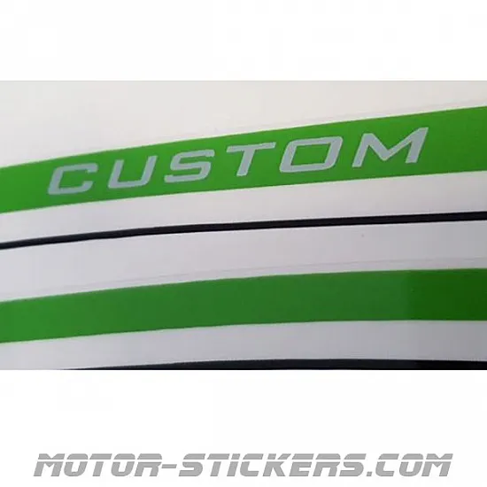 Kawasaki VN 900 Vulcan 2013