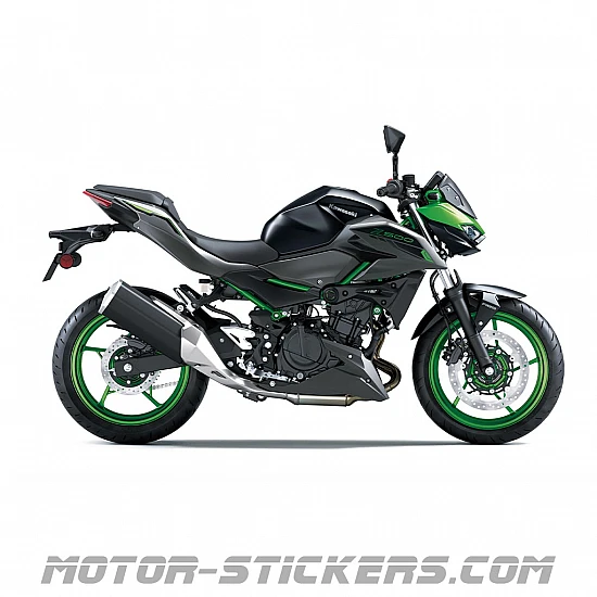 Kawasaki Z500 SE 2024