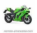 Kawasaki ZX-10RR 2021