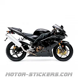 Kawasaki ZX-10R 2004