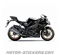 Kawasaki ZX-10R 2010