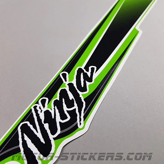 Kawasaki ZX-10R 2011