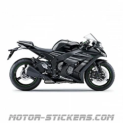 Kawasaki ZX-10R 2015