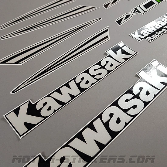 Kawasaki ZX-10R Ninja RR 2017