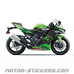 Kawasaki ZX-4RR 2024