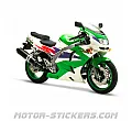 Kawasaki ZX-6R 1995