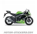 Kawasaki ZX-6R 2010
