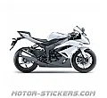 Kawasaki ZX-6R 2010