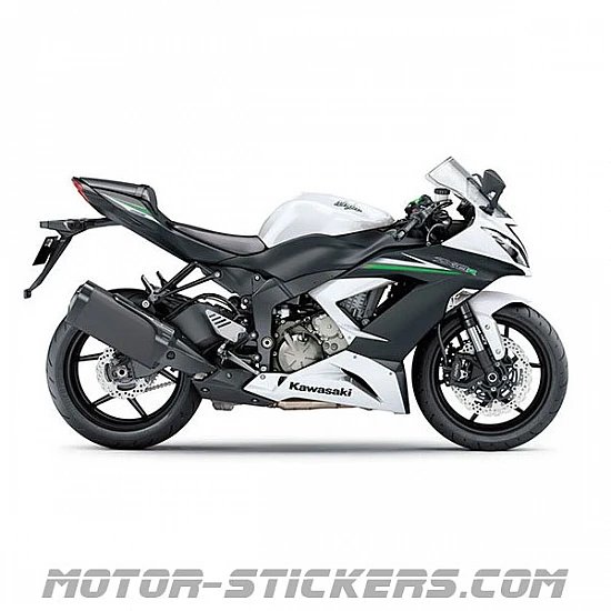 Kawasaki ZX-6R 2015