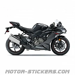 Kawasaki ZX-6R 2020