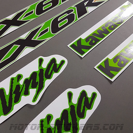 Kawasaki ZX-6RR 2004