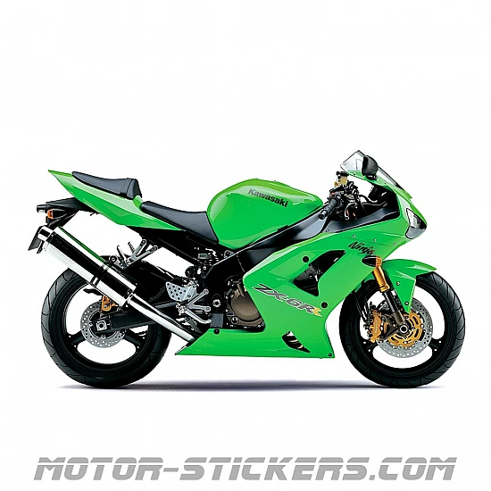Kawasaki ZX-6RR 2004