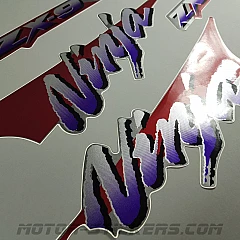 Kawasaki ZX-9R 1994-1995 decals