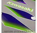 Kawasaki ZX-9R 1999