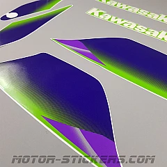 テッチ Kawasaki ZX-9R 1999 pegatinas